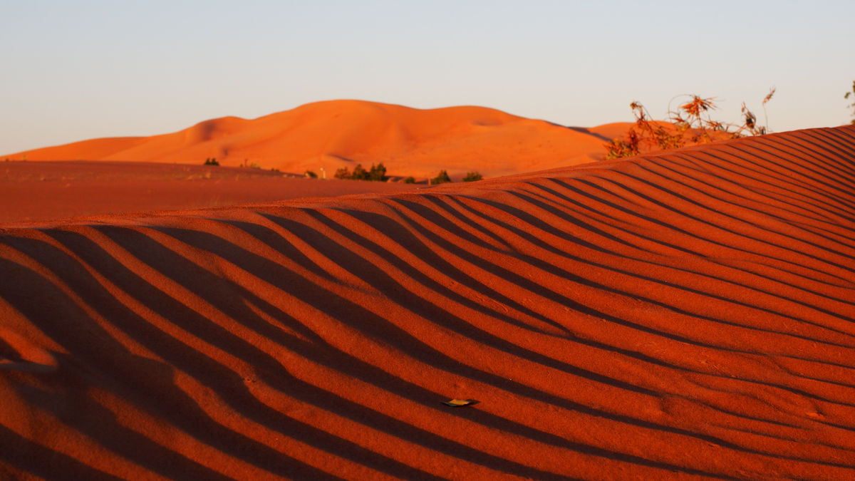 Blick aus dem Zelt: Morgenstimmung über der Wüste