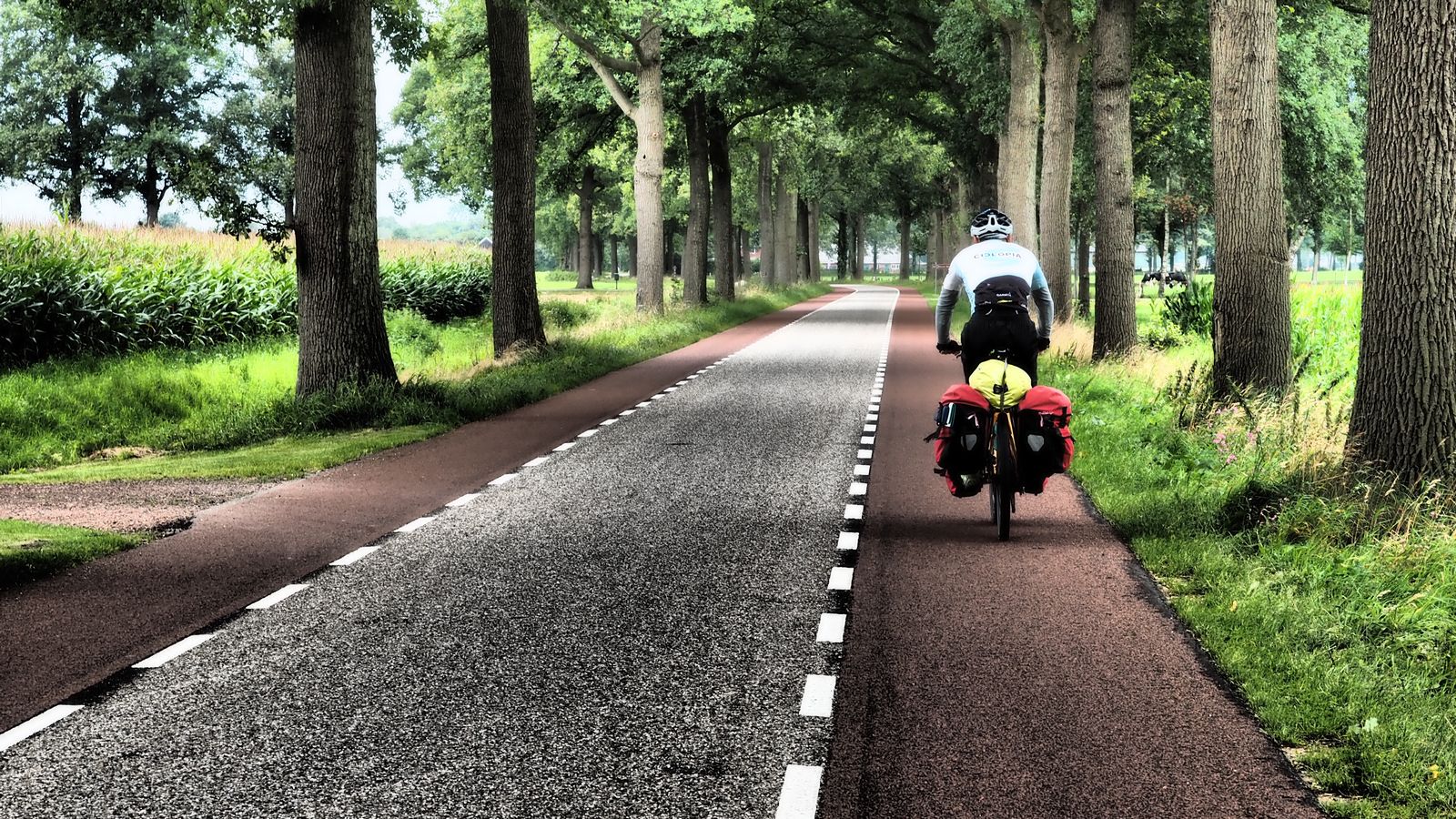 tolle Radwege in den Niederlanden
