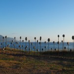 prächtige Morgenstimmung am Weg nach Taitung