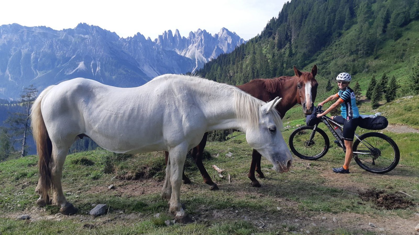 Bikepacking Karnische Alpen
